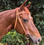 Ezy Ride Bridle with Futurity Knot and Barbwire Stamping Natural