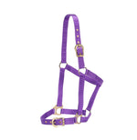 Rancher Halter w/Brass Buckles Purple