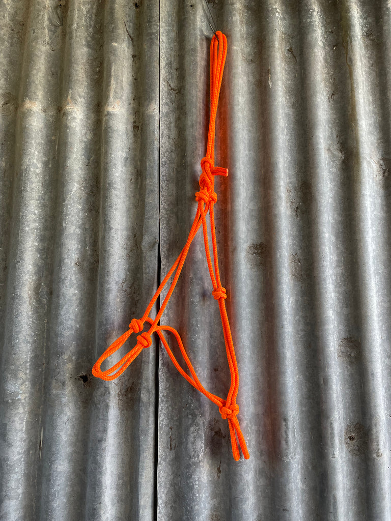 Diamond H Handmade Rope Halter Orange – Diamond H Saddlery & Country ...