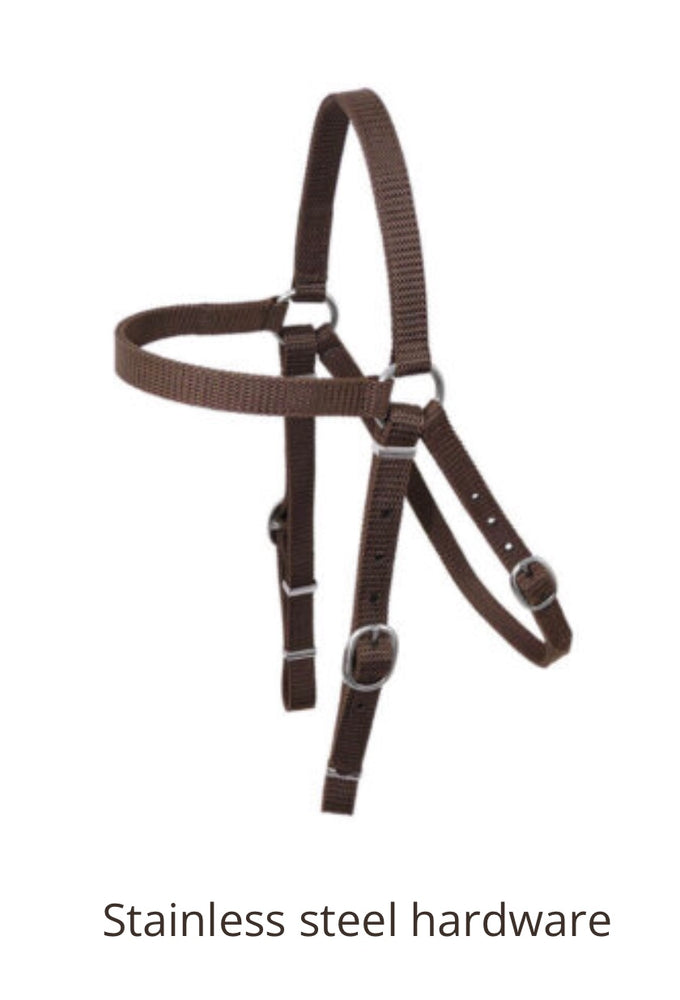 Nyla Web Bridle Stainless Steel.