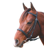 Eureka Snaffle Cavesson Bridle Black
