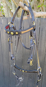 Diamond H Brass Studded Bridle