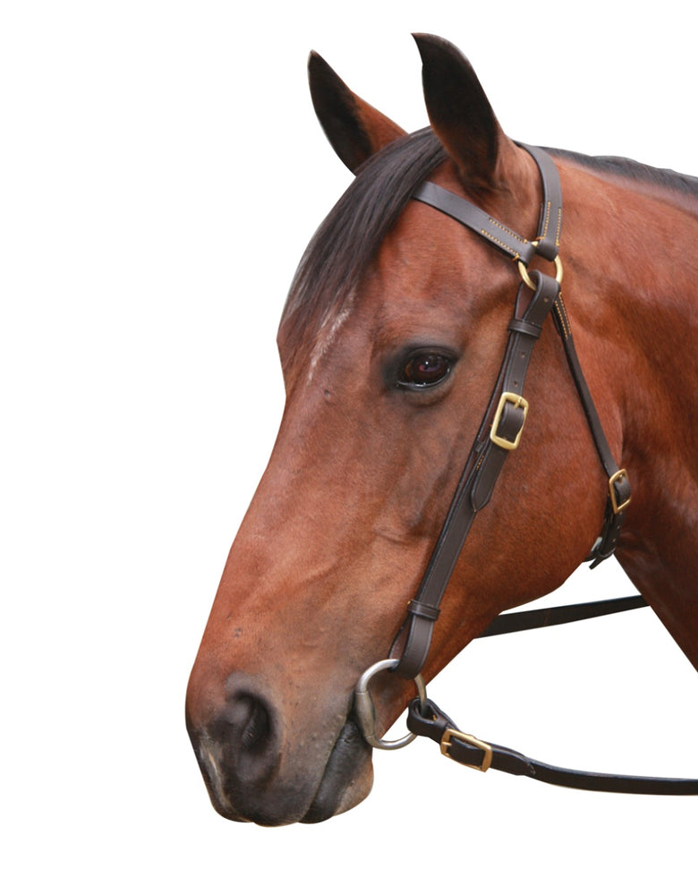 Eureka Brass Barcoo Bridle