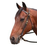 Eureka Brass Barcoo Bridle