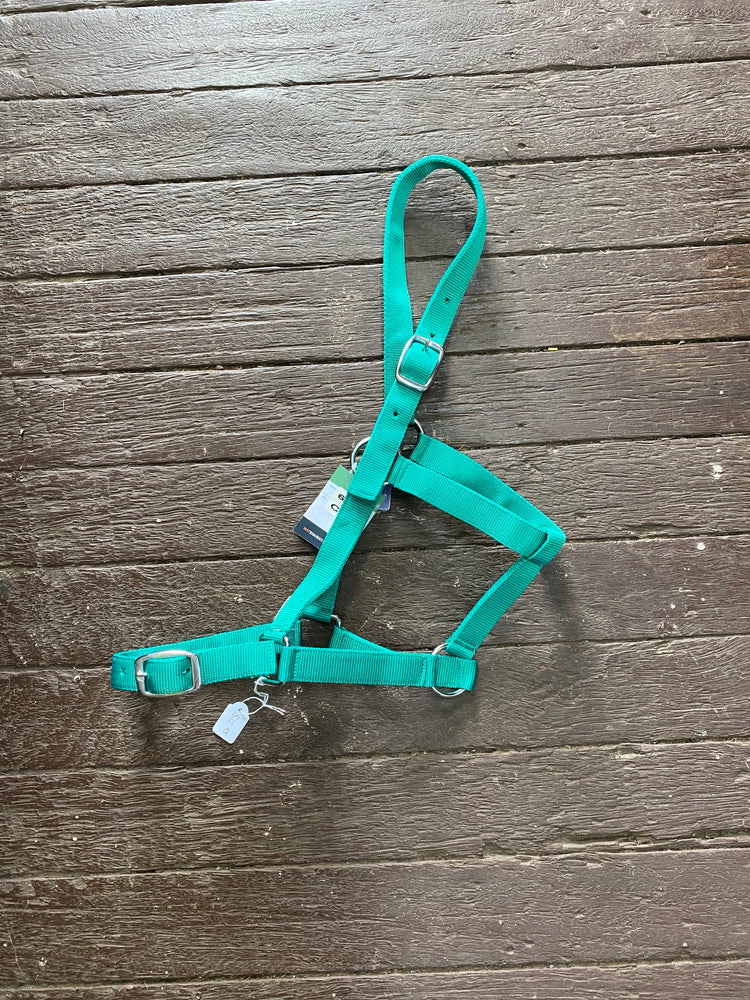 Eureka Buckle Halter