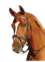 Eureka Eventing Bridle